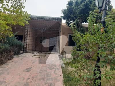 Safari Home Boulevard For Rent