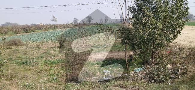 فیروزپور روڈ لاہور میں 24 کنال زرعی زمین 25.0 کروڑ میں برائے فروخت۔ فیروزپور روڈ لاہور میں 24 کنال زرعی زمین 25.0 کروڑ میں برائے فروخت۔