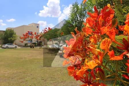 Prime Location Residential Plot In Naya Nazimabad - Block M Sized 120 Square Yards Is Available