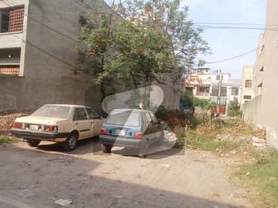 10 male plot for sale