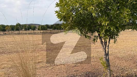 ڈی ایچ اے فیز 6 - سیکٹر بی3 ڈی ایچ اے ڈیفینس فیز 6 ,ڈی ایچ اے ڈیفینس,اسلام آباد میں 1 کنال رہائشی پلاٹ 1.55 کروڑ میں برائے فروخت۔