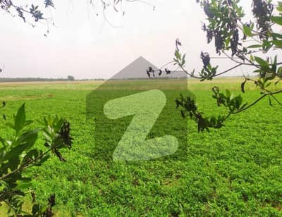 Ideal 4 Acre Land For Sale For (Agriculture & Farmhouse & Investment ) at Nearby Samundri Road Faisalabad