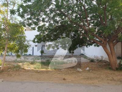 400sqyrd plot for sale in sector T-2 on 50ft wide road