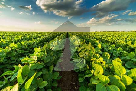 فتح جنگ روڈ اسلام آباد میں 10 کنال زرعی زمین 1.2 کروڑ میں برائے فروخت۔