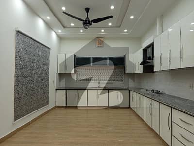 Centrally Located Good Location House Available In DC Colony For rent