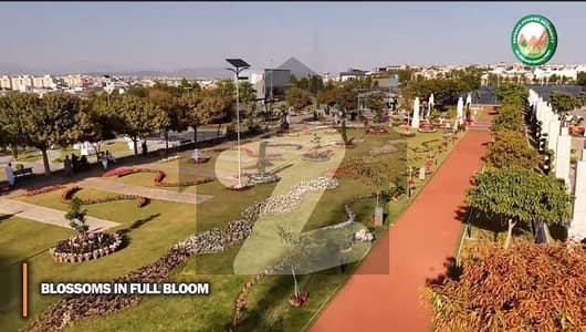 DHA PHASE 3 Army Allocation Block D Road 3 Plot on Call Front Open Green Belt Possession Ready