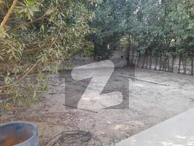 1000 Square yards Bungalow For Sale