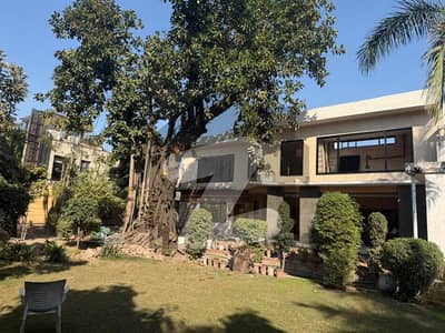 Luxury Bungalows Ground Floor Available For Rent