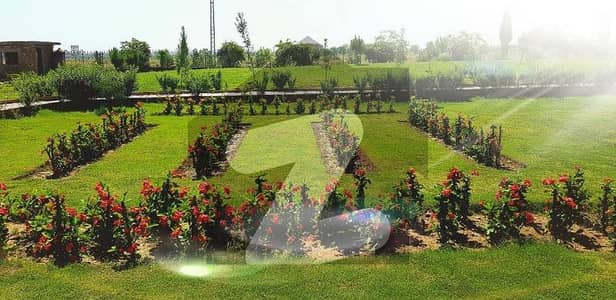 Prime location pair plots near to main park are available for sale in zone 3,Sector B2