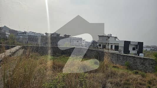 1 Kanal Plot Developed Area Electric Sewerage Carpet Road Available