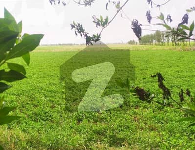 For Investment 48 Acre Fully Agriculture Land For Sale Near jarranwala to Shahkot Road Faisalabad