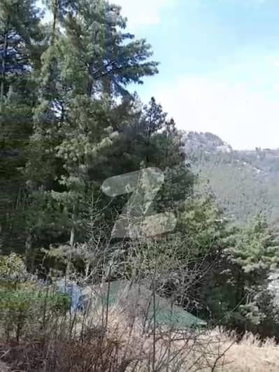 باڑیاں مری میں 15 مرلہ رہائشی پلاٹ 75.0 لاکھ میں برائے فروخت۔