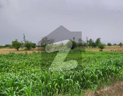 Ideal 6 Acre Fully Agriculture Land for investment at Nearby Jarranwala Road Faisalabad