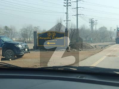 Spacious Residential Plot Is Available In Margalla Orchard For sale