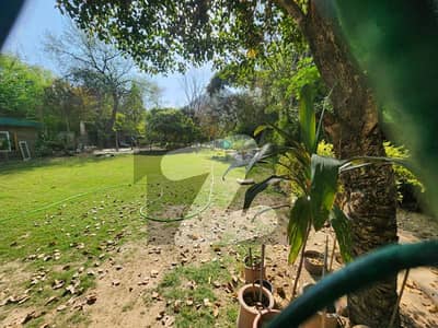 LOWER PORTION WITH GARDEN FOR RENT