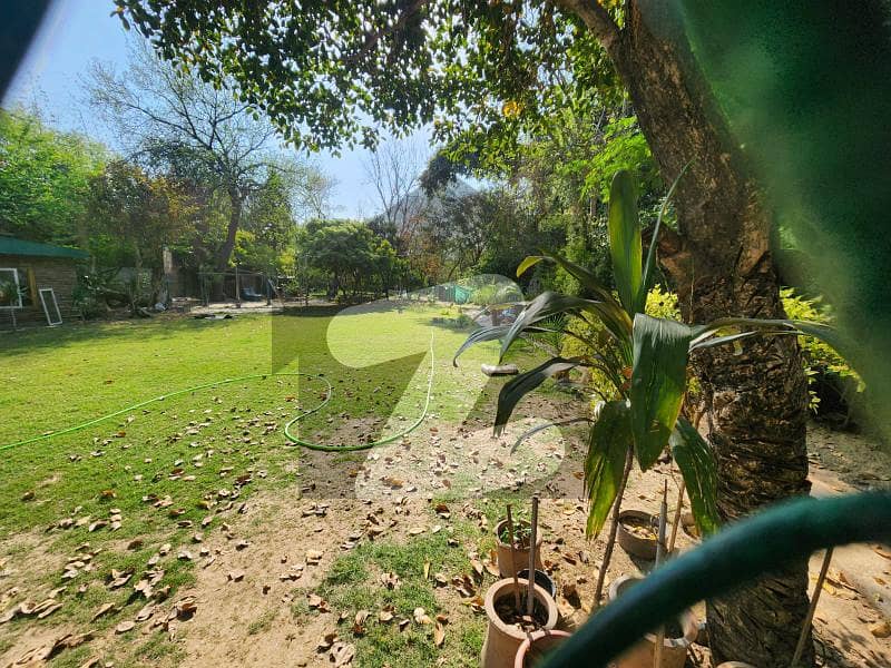 LOWER PORTION WITH GARDEN FOR RENT LOWER PORTION WITH GARDEN FOR RENT