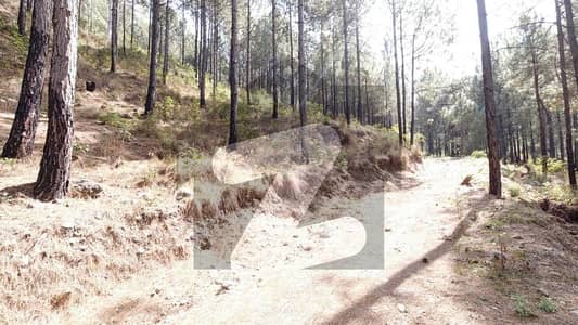 پائن سٹی ہاؤسنگ سوسائٹی پیر سوہاوا روڈ,پیر سوہاوا,اسلام آباد میں 1 کنال رہائشی پلاٹ 85.91 لاکھ میں برائے فروخت۔