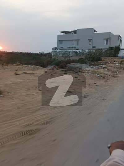 1000 Yard D Zone west open chance deal available in Dha