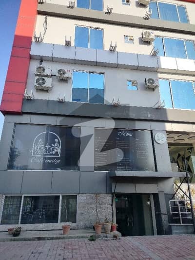 One Bed Furnished And Luxury Apartments For Rent