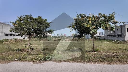 1 Kanal Pair Plot Facing Park Block T Ideal Location