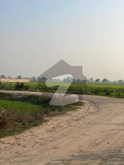 بیدیاں روڈ لاہور میں 16 کنال زرعی زمین 4.1 کروڑ میں برائے فروخت۔