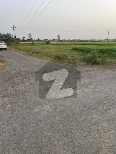 بیدیاں روڈ لاہور میں 16 کنال زرعی زمین 4.55 کروڑ میں برائے فروخت۔