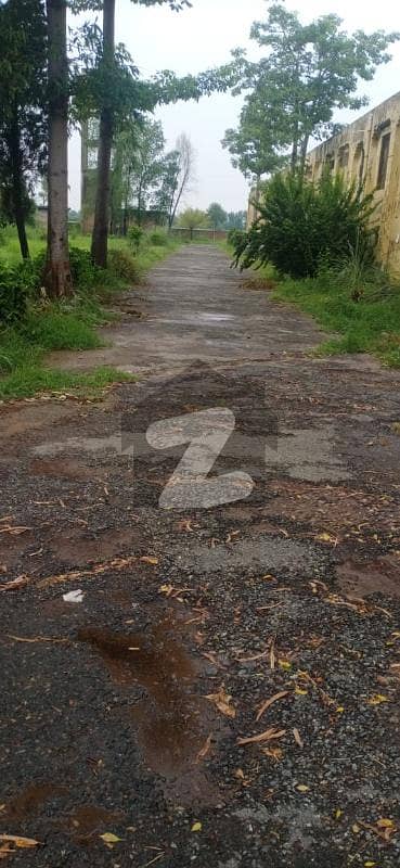 Mega Factory Land 55-Kanal Factory for Sale Prime Industrial Land Just 1 Km from Main Ferozepur Road, Sue-e-Asal Road Motivated Seller, High ROI Investment with Wall Green Realtors