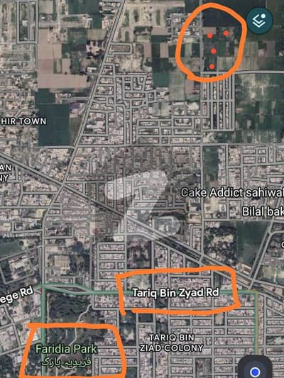 چک 82 / 6R ساہیوال میں 31 کنال زرعی زمین 12.0 کروڑ میں برائے فروخت۔