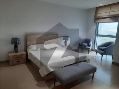 Brand New Fully Furnished Luxurious Roof Top Upper Portion For Foreigners