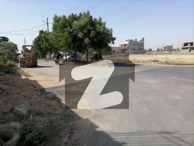 240 Sqy West open Plot