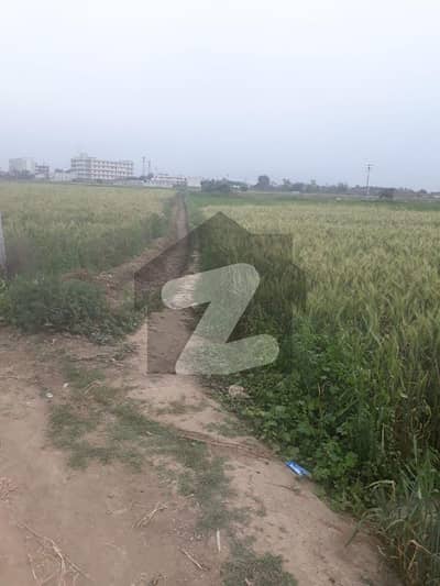 بُٹر سیالکوٹ میں 28 کنال زرعی زمین 39.2 کروڑ میں برائے فروخت۔