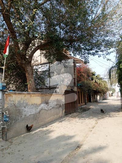 9 Marla 136 Sqft Plot for Sale on Stadium Road Gas & Electricity Meters Installed | Heart of Sargodha