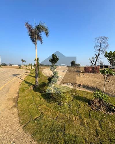 Lahore Organic Farms Society Located on Main Barki Road, Lahore.