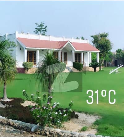 Beautiful 32 Kanal Farmhouse With Lush Green Lawn And Swimming Pool