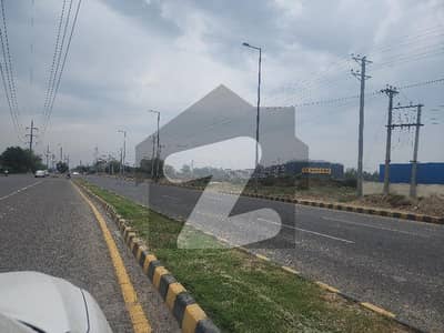 22 Kanal Commercial Plot For Sale In Pine Avenue