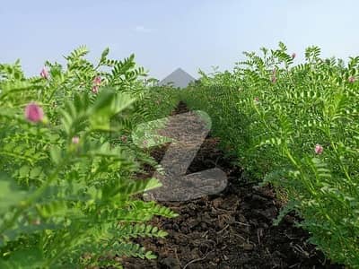 فتح جنگ روڈ اسلام آباد میں 50 کنال زرعی زمین 4.0 کروڑ میں برائے فروخت۔