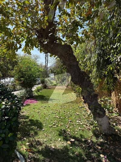 کینٹ ملتان میں 6 کمروں کا 3 کنال مکان 3.75 لاکھ میں کرایہ پر دستیاب ہے۔