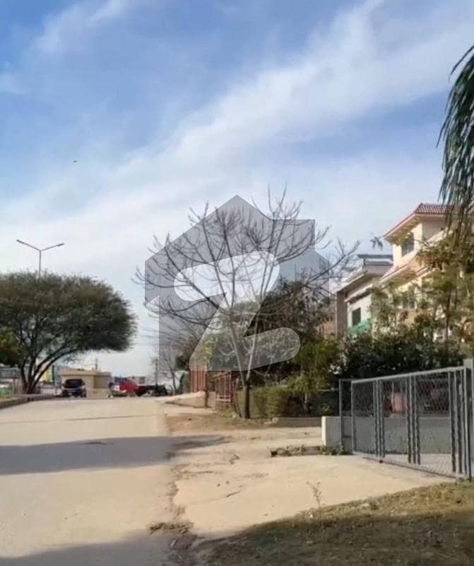 Main Double Road Facing, Service Road West 35x70 Main Double Road Facing, Service Road West 35x70