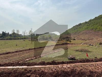 نیول فارمز ہاؤسنگ اسکیم سیکٹر ای ناول فارمز ہاؤسنگ سکیم,اسلام آباد میں 5 کنال پلاٹ فائل 1.95 کروڑ میں برائے فروخت۔