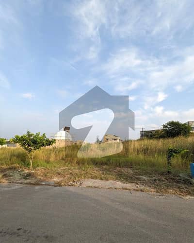Walking Distance to Central Park , Solid Land , Top Height PLot