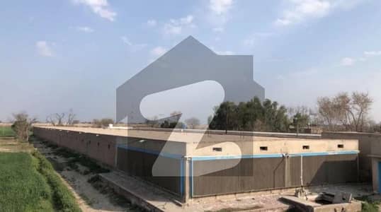 15 Kanal Control Shed 43000 SQF Covered Area For Sale In Khanuana Faisalabad