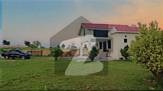 Dream Farmhouse Living | 3 Kanal | Pool | Chak Beli Road