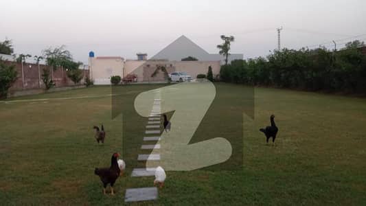 3 Kanal Farmhouse / Property for Sale on Sue-e-Asal Road | 67.5 Front | Swimming Pool | Rooms | Huge Lawn