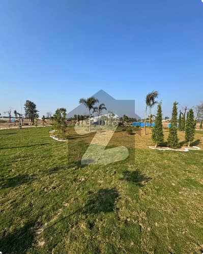 Lahore Organic Farms Society Located on Main Barki Road, Lahore.