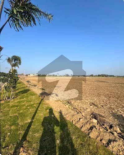 Lahore Organic Farms Society Located on Main Barki Road, Lahore.