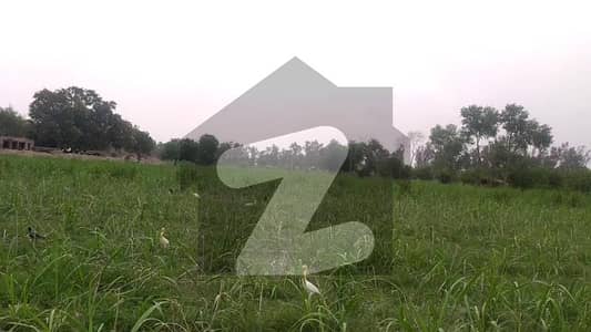 ملت روڈ فیصل آباد میں 24 کنال زرعی زمین 1.25 کروڑ میں برائے فروخت۔