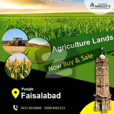 فیصل آباد روڈ شاہکوٹ میں 50 کنال زرعی زمین 60.0 لاکھ میں برائے فروخت۔