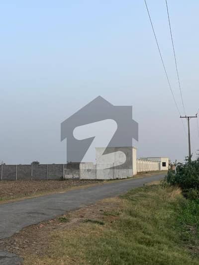 بیدیاں روڈ لاہور میں 16 کنال زرعی زمین 4.25 کروڑ میں برائے فروخت۔