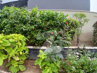 500 sq. yards rear plot available for sale on 37th Street (off Babar & Faisal), located in Zone-D, DHA Phase 8 Karachi