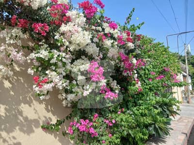 500 sq. yards residential plot available for sale on Beach Street 6 (off Bilal & Beach Avenue), located in Zone-C, DHA Phase 8 Karachi